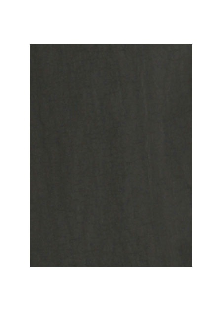 ZUCCa / VINTAGE NYLON TAFFETA / スカート