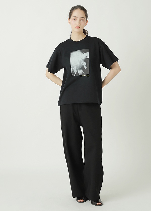 ZUCCa / T/C WORK TWILL / パンツ