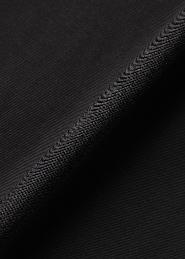 ZUCCa / HIGH TWIST TWILL JERSEY / パンツ