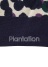 <先行予約> Plantation / DOTS ソックス / ソックス