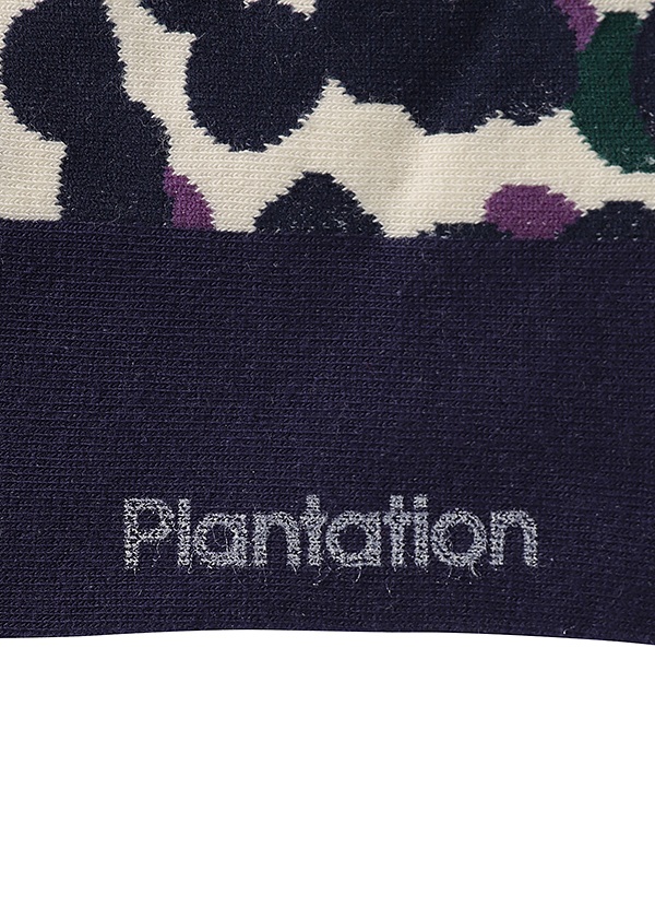 <先行予約> Plantation / DOTS ソックス / ソックス