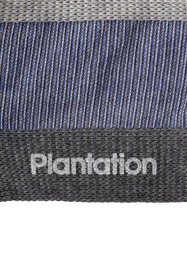 Plantation / アシンメトリーボーダーソックス / ソックス