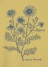 Plantation L-line / (O) (B)ハーブT / 長袖Tシャツ