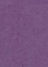 dark purple(16)