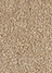 brown(04)
