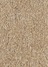 brown(04)