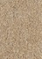 brown(04)