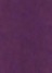 dark purple(16)