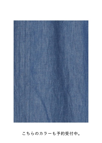 <先行予約> Plantation / BIZENピンタックデニム / ワンピース