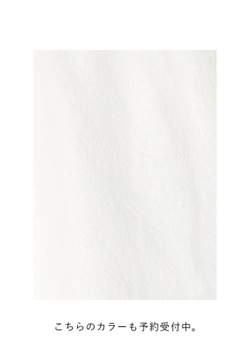 <先行予約> Plantation / BIZENドビーコットン / シャツ