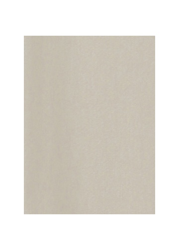 ZUCCa / SPUN PE STRETCH TWILL / パンツ