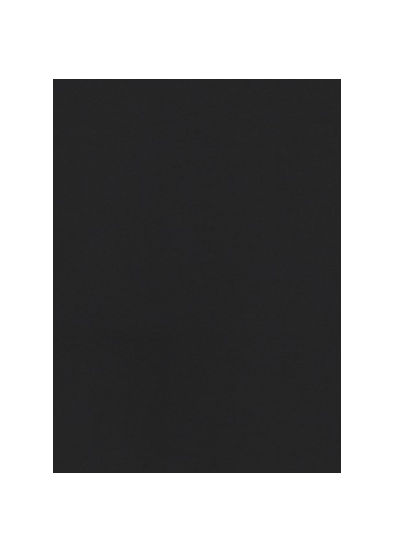 ZUCCa / SPUN PE STRETCH TWILL / パンツ