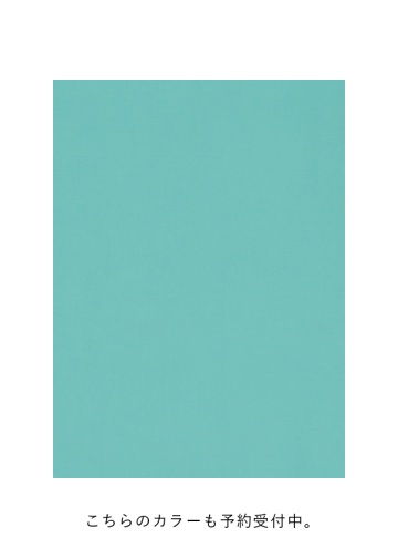 <先行予約> ZUCCa / PICOTUCK LAWN / ブラウス