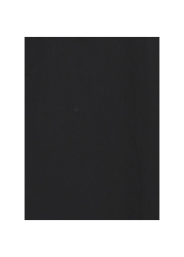 <先行予約> ZUCCa / HIGH DENSITY WASHER / ブラウス