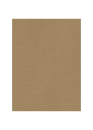 <先行予約> ZUCCa / BRUSHED MOLESKIN / パンツ