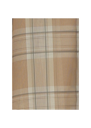 <先行予約> ZUCCa / SHEER CHECK / シャツ
