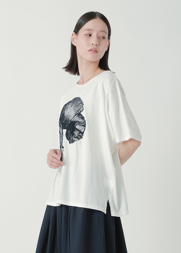 <��s�\��> Plantation / �t�����[�G���u��T / T�V���c