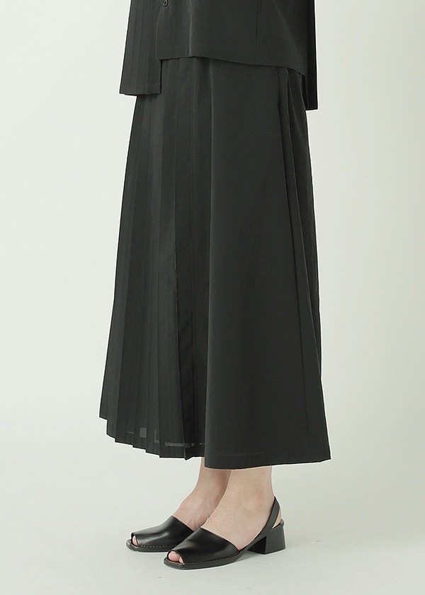 <��s�\��> ZUCCa / DOT AIR / �X�J�[�g