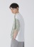 ZUCCa / LIBERTY PRINThbLO / TVc