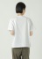 ZUCCa / X^vT / TVc