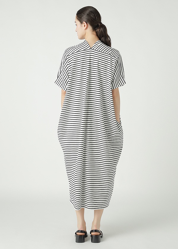 ZUCCa / CENTER STRIPE JERSEY / �����s�[�X