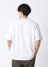 ZUCCa / P tF[hST / TVc