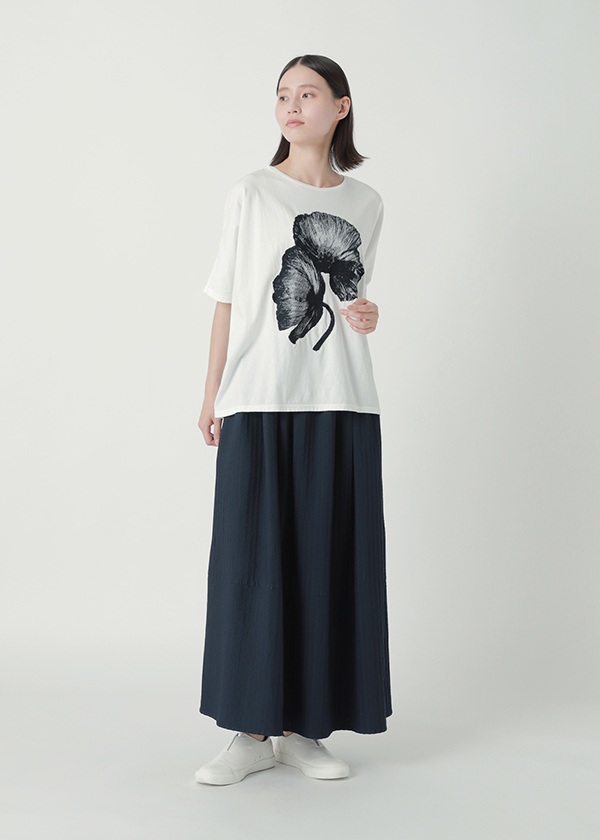 <��s�\��> Plantation / ECO WAVE S / �X�J�[�g