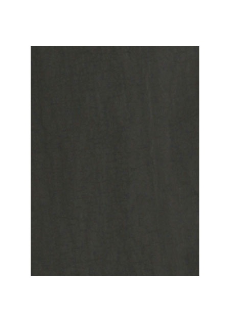 ZUCCa / PO VINTAGE NYLON TAFFETA / �X�J�[�g