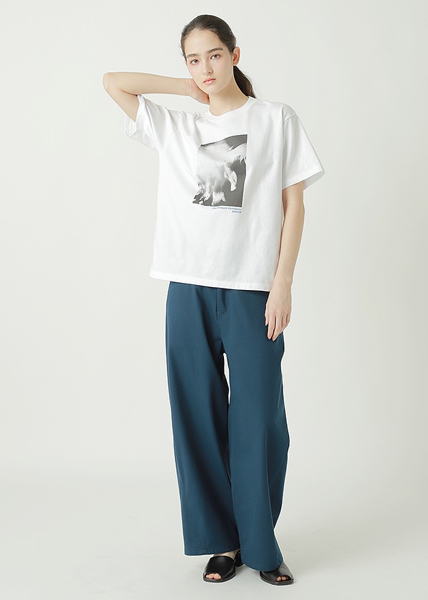 ZUCCa / T/C WORK TWILL / �p���c