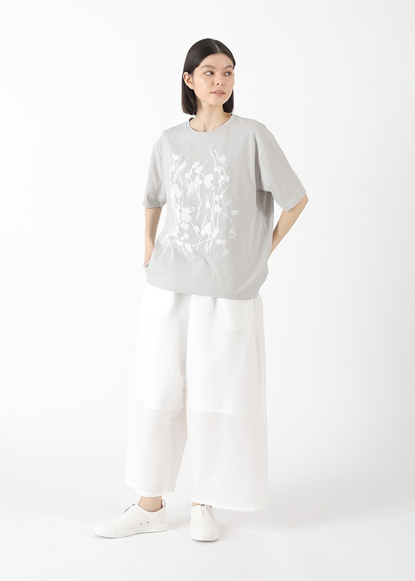Plantation / (O) �X�e���t�����[T /�J�b�g�\�[