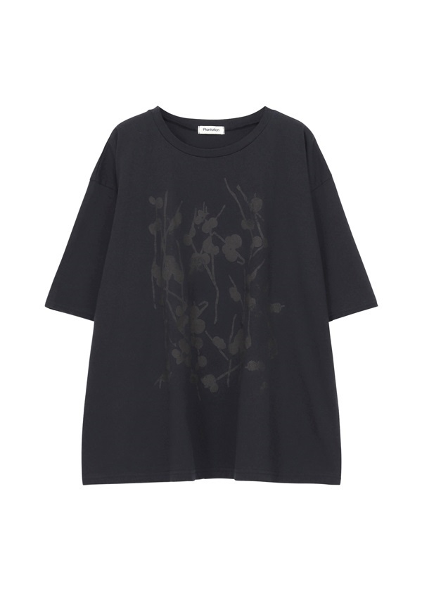 Plantation / (O) �X�e���t�����[T /�J�b�g�\�[