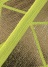 ZUCCa / zCvg\bNX / \bNX