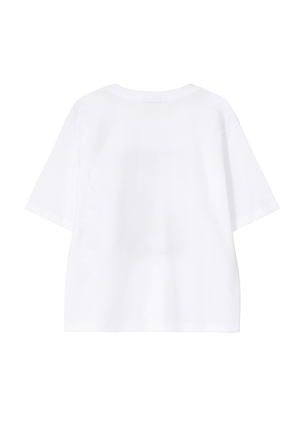 <��s�\��> ZUCCa / DISCO PHOTO T / T�V���c