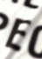 ZUCCa / P tF[hST / TVc