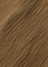 Plantation L-line / (O) BIZENJ[qbR[ / Vc