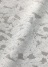 Plantation / (O) �R���t�F�e�BPT / T�V���c
