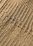 Plantation / S BIZEN�|�^���[WAVE / �W���P�b�g
