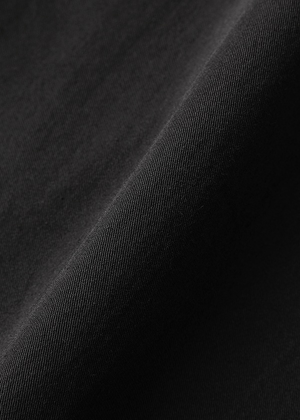 ZUCCa / CLASSIC TWILL / �X�J�[�g
