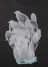 ZUCCa / Y tF[ht[T / TVc