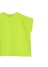 Plantation / COLOR YOORYUU T / Jbg\[