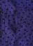 ZUCCa / NADESHIKO FLOWER PRINT / �����s�[�X