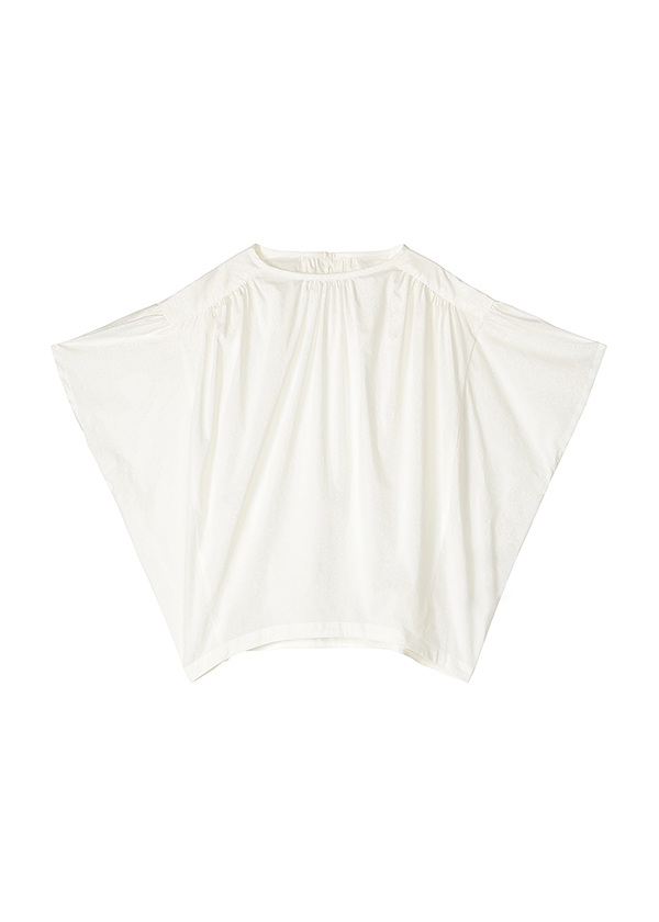 ZUCCa / WASHED COMPACT / �V���c