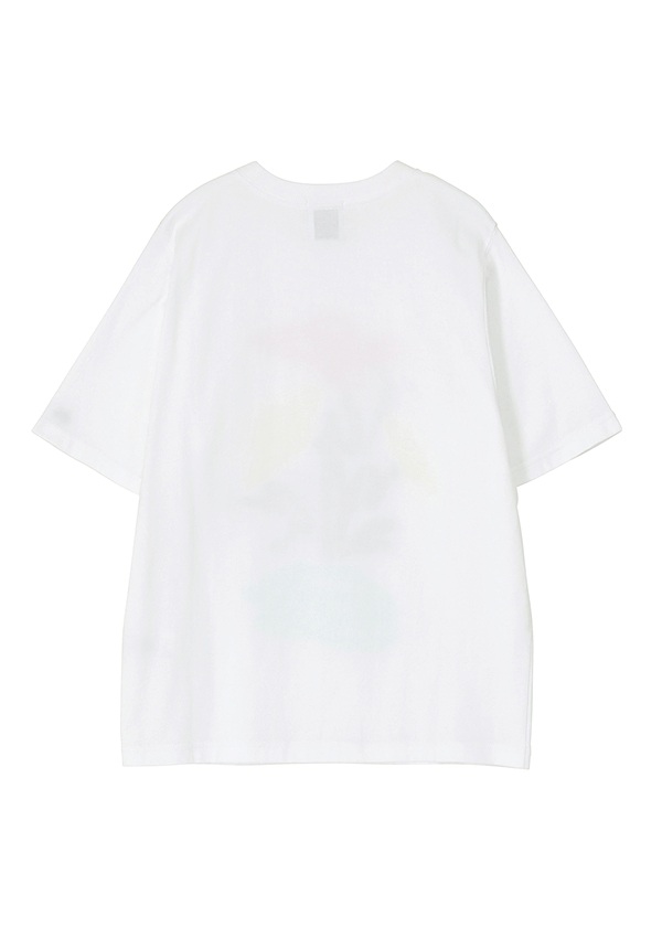 <��s�\��> NYA- / SPRAY FLOWER / T�V���c