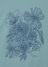 Plantation L-line / (O) HANATABA T / Jbg\[