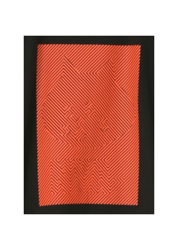 <��s�\��> NYA- / GEOMETRIC NYA- / �����O�X���[�uT�V���c