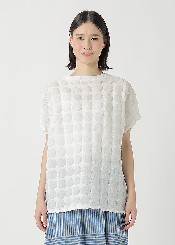 <��s�\��> Plantation / YOORYUU�h�b�g�`�F�b�N���b�v�� / �t�����`�X���[�u