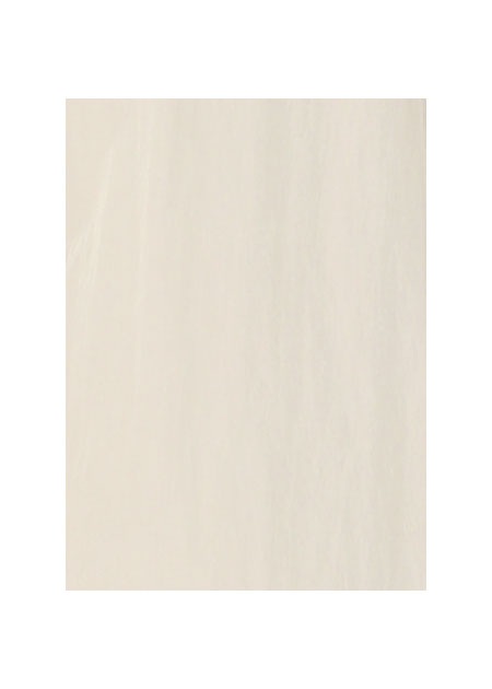 ZUCCa / PO VINTAGE NYLON TAFFETA / �X�J�[�g