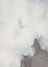 gray(24)