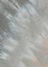 gray(24)