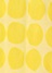 yellow(06)